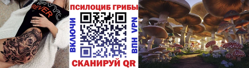 Галлюциногенные грибы Psilocybine cubensis  как найти закладки  Кукмор 